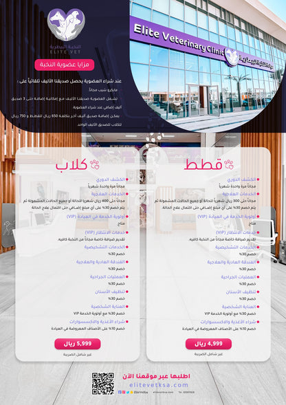  عضوية النخبة للقطط