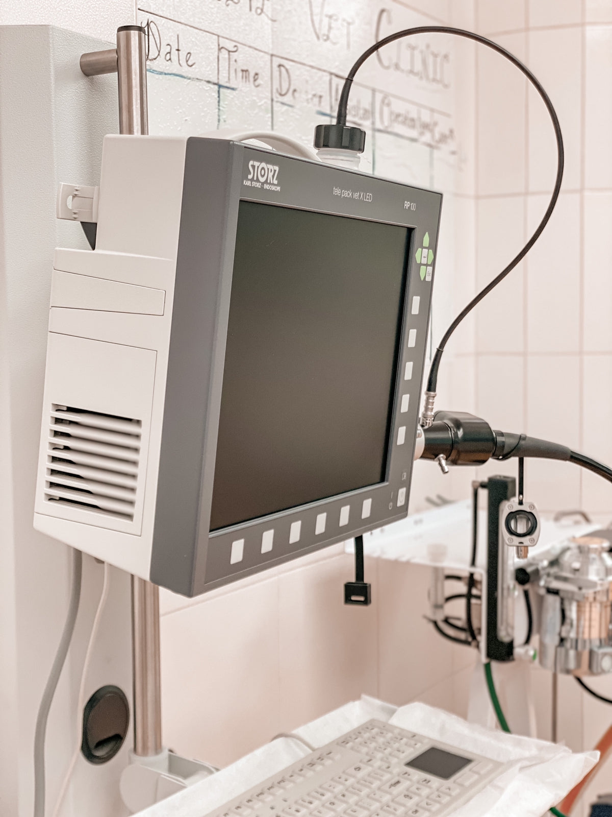 Endoscope