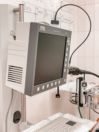 Endoscope